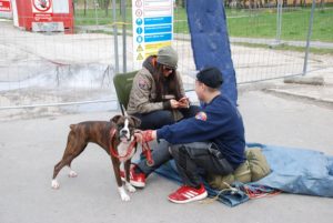 Obyvatelia Dúbravky strážili pred plotom vo dne v noci. V zime, v daždi, stále. Striehli na príchod stavebných strojov. Až do takej miery ich dokázalo dúbravské vedenie obce sfanatizovať. pričom už mesiace predtým bolo jasné, že stavbe nezabránia. Ani vlastným telom.